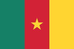 Flag of Cameroon