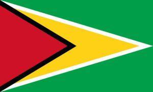 Flag of Guyana