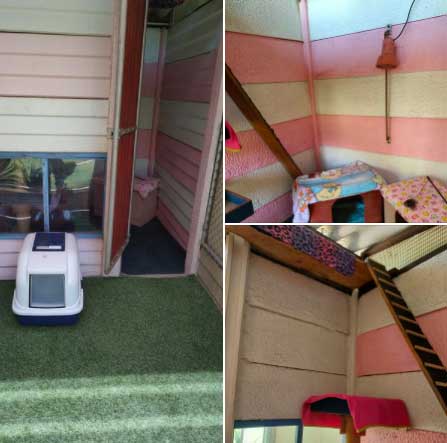 Pet Boarding at Keringa Candy-striped-kitty-cabanas