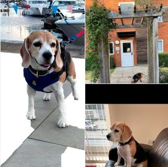 Juno has Joined her Family in London