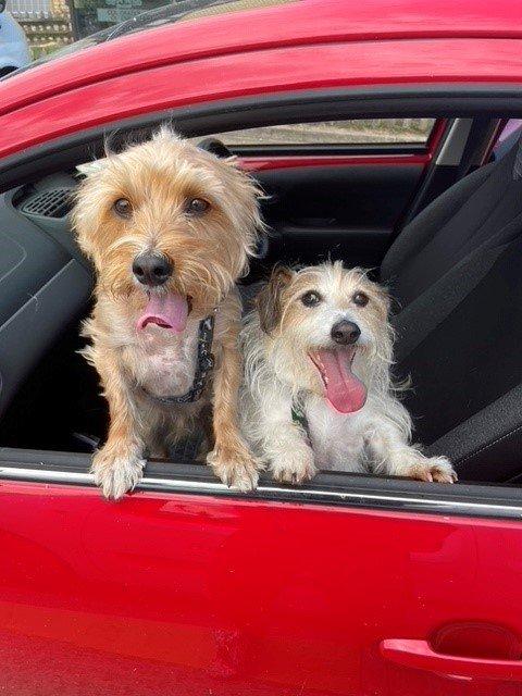 Mortley and Jarvis are Safe and Sound