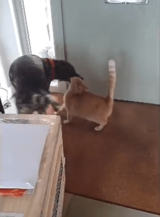Murphy has Reunited with his brother Findlay in the UK
