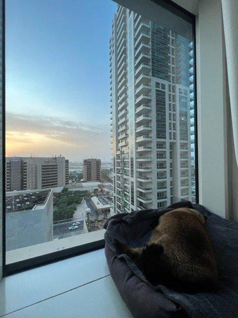 Pursia has Joined her Family in Dubai