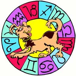 Dog Astrology main