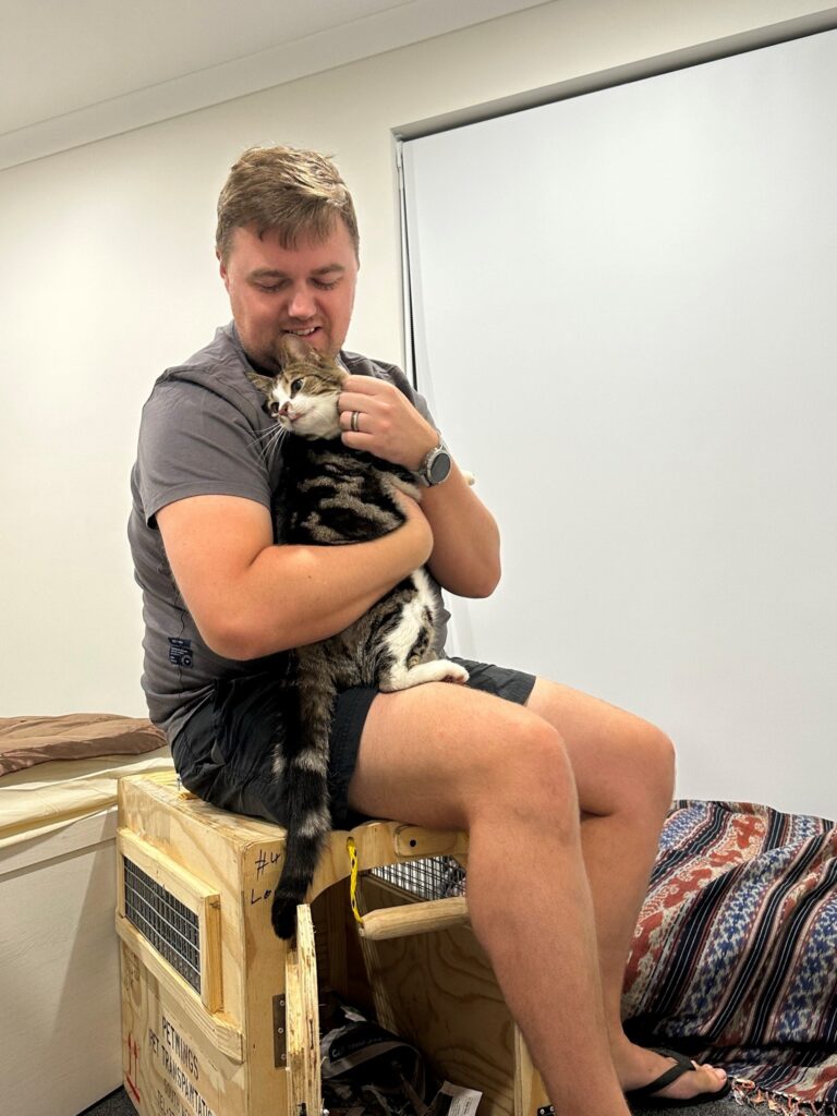 Ferguson and Hiccup are Safe and Sound in Australia 🇦🇺🐈❤️