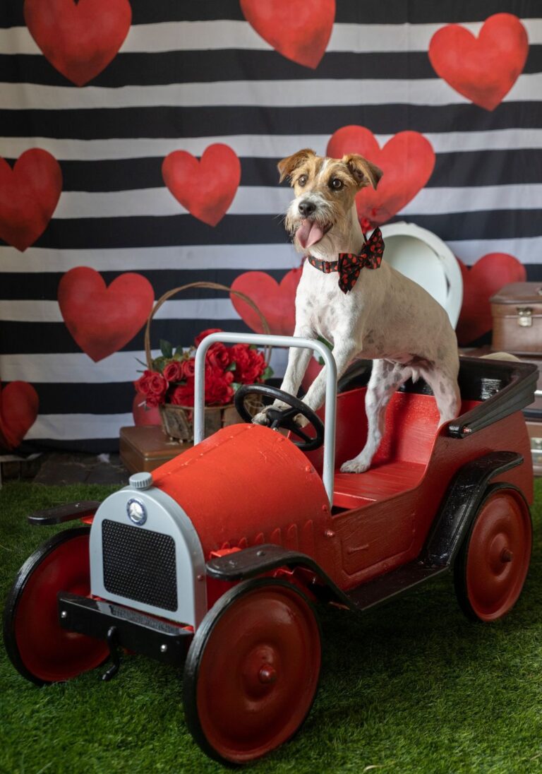 Meet Chase, Another One of Our Lucky Prize Winners 🥳