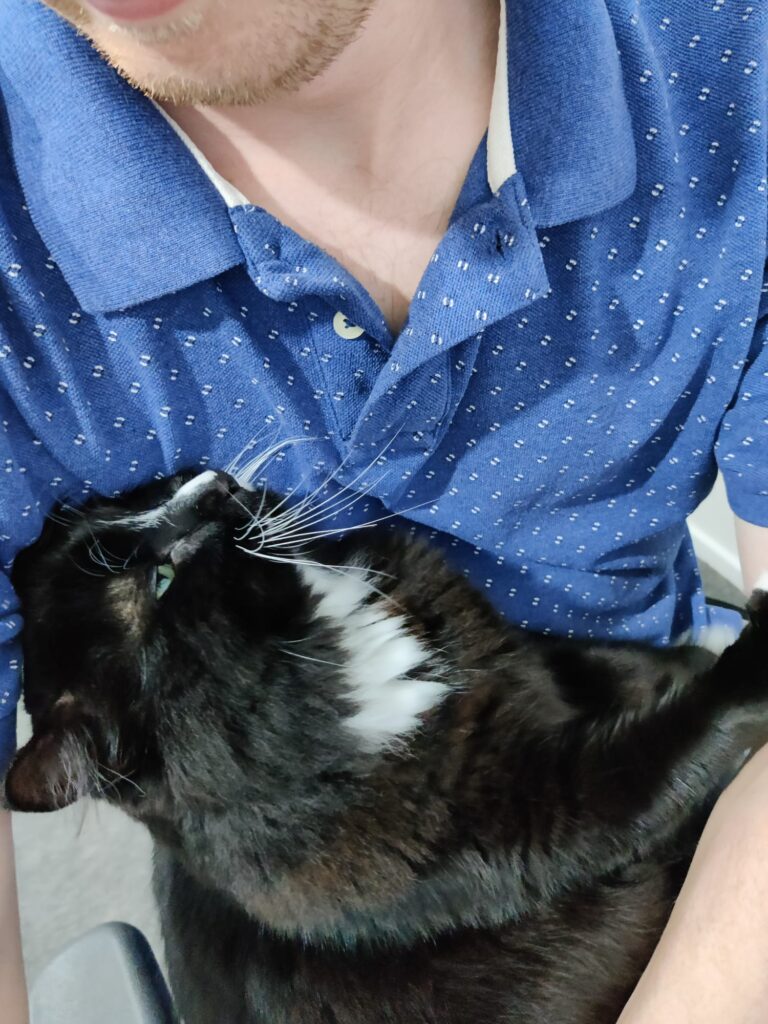 Randy, Leyla, and Toby Have Arrived Safely in New Zealand Keringa-Petwings Pet Transport Testimonials 3