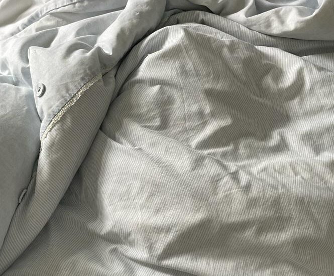 Jones Has Joined His Family in the UK ❤️🐈🇬🇧