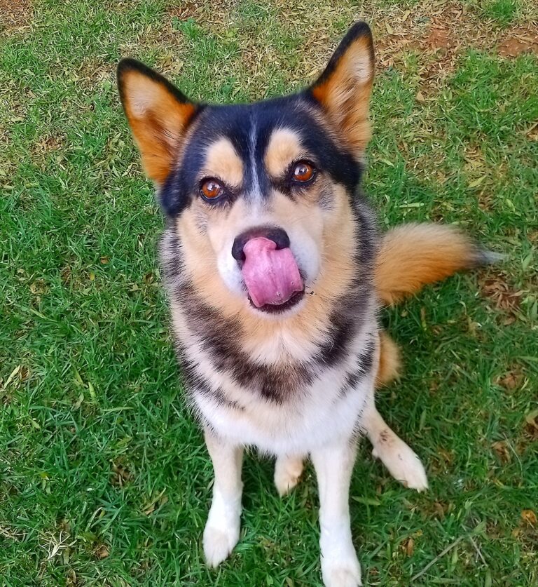 On holiday or en route to their new countries...