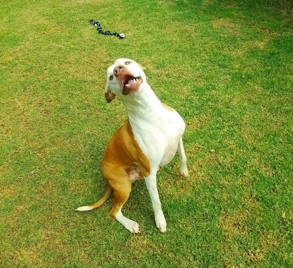 On holiday or en route to their new countries...