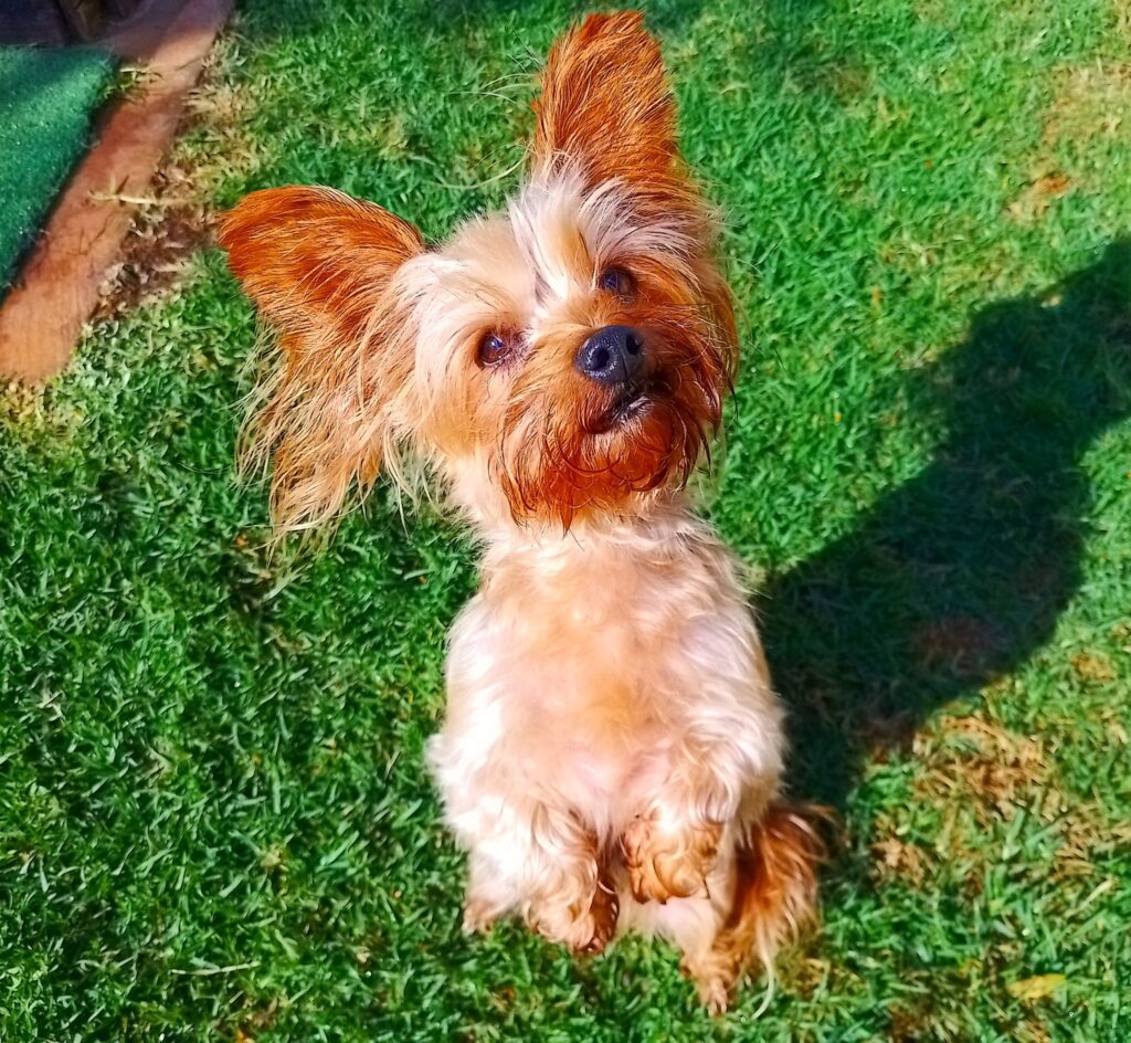 On holiday or en route to their new countries...