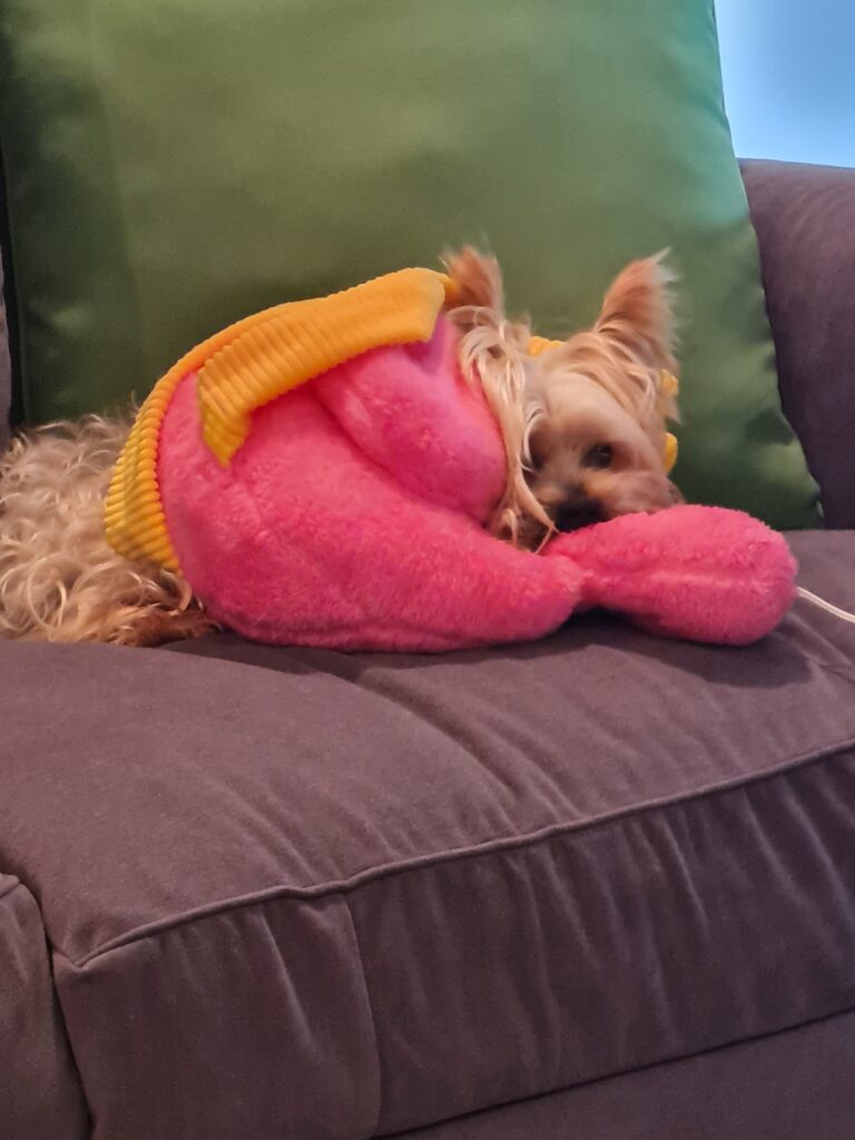 Pixie and Goofy Have Joined Their Mom in Australia