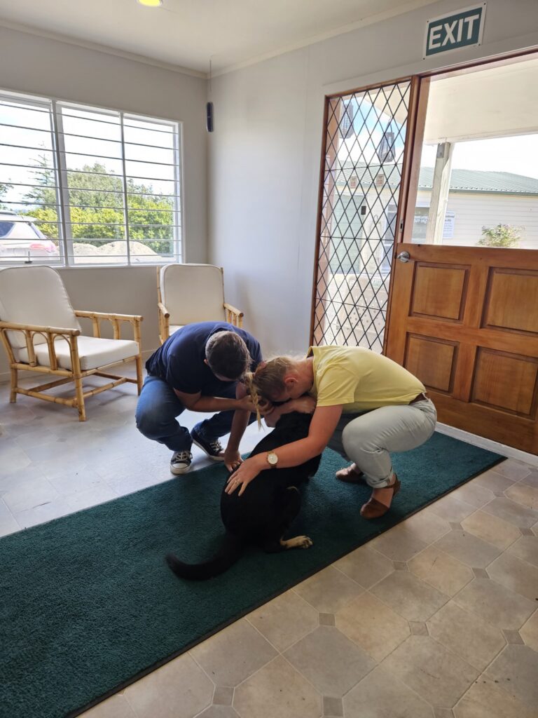 Reunited in New Zealand - Lilly And Rex 🐶❤️🇳🇿