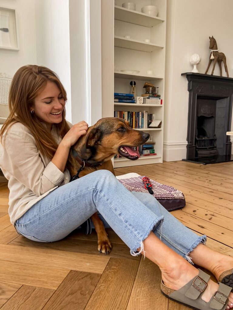 Olive and Moon are Safe and Sound in the UK 🐈🇬🇧🐕