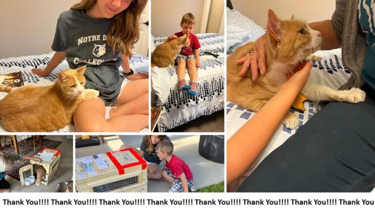 Roo is Safe and Sound in Canada With His Humans ❤️🐈🇨🇦