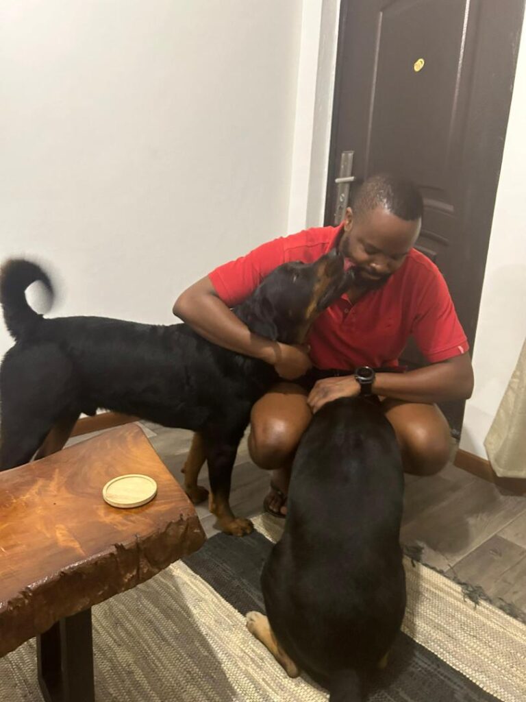 Muvumi and Rowley Have Arrived Safe and Sound in Accra, Ghana 🐶❤️🇬🇭