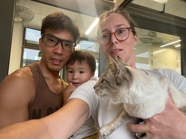 Scratty Has Arrived Safely In Singapore 🐈❤️🇸🇬