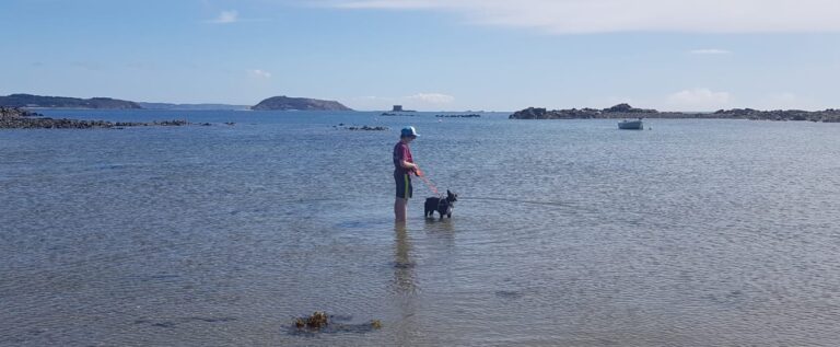Buddy Has Joined His Family in Guernsey, UK 🐶❤️🇬🇧