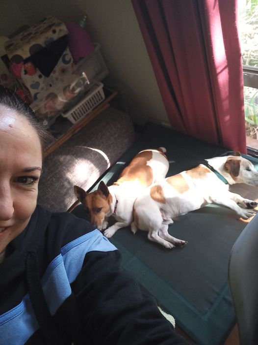 Rio and Chica are Safe and Sound in Australia 🐶❤️🇦🇺