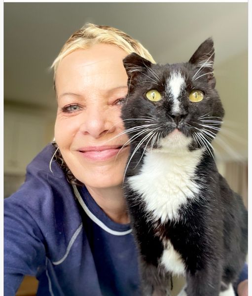 A Beautiful Review With a Happy Ending: Boris Has Arrived in the UK 🐈❤️🇬🇧