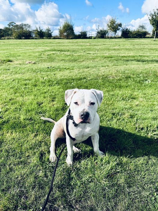 Storm has Joined Her Family in the UK