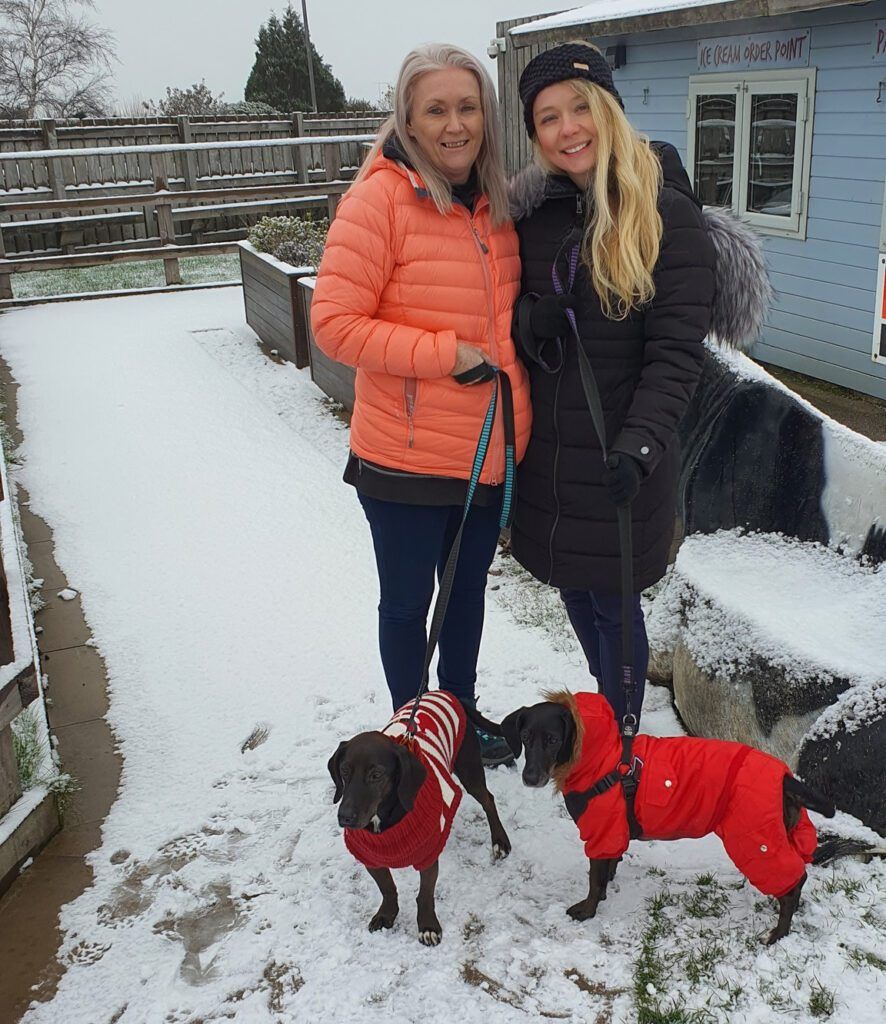 Kiya and Pepsi Are Safe and Sound in The United Kingdom Keringa-Petwings Pet Transport Testimonials