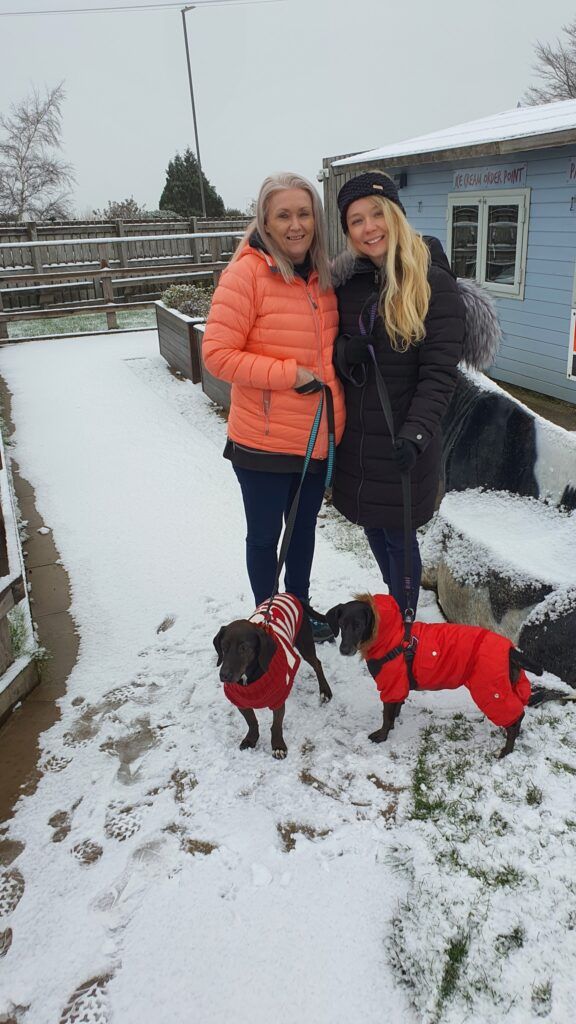 Kiya and Pepsi Are Safe and Sound in The United Kingdom Keringa-Petwings Pet Transport Testimonials