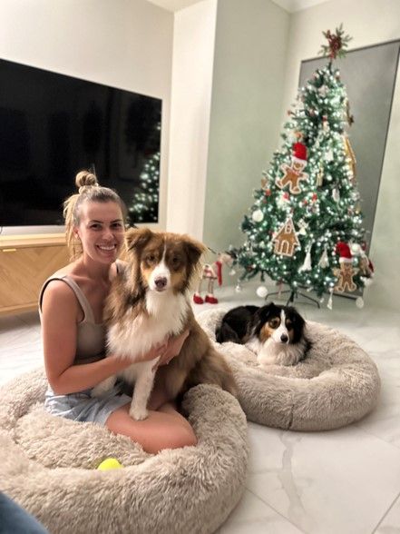 Lily and Buddy Have Arrived Safe and Sound in Australia 🐶❤️🇦🇺