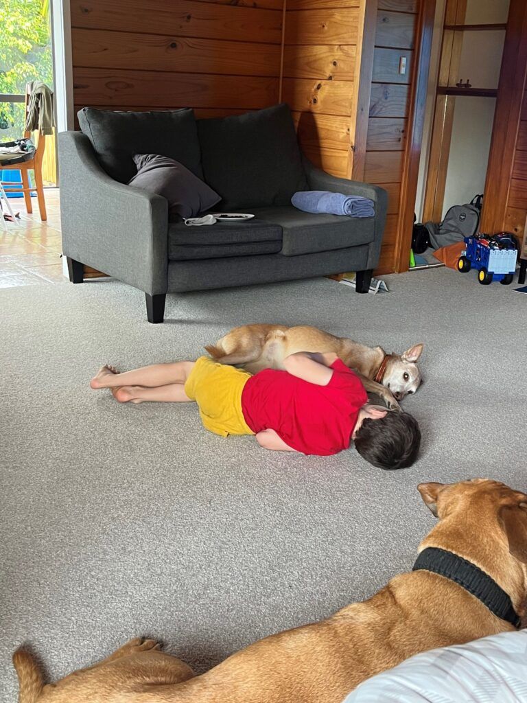 Maddy and Strike Have Joined Their People in New Zealand Keringa-Petwings Pet Transport Testimonials