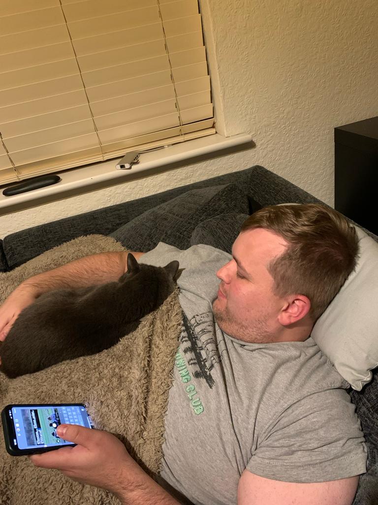 Penny, Olive, George, and Charlie are Safe and Sound in the UK 🐈❤️🇬🇧