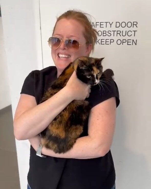 Sassy Has Joined Her Family in Australia 🇦🇺🐈❤️