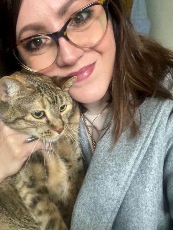 Alba Has Arrived Safely in the UK 🐈❤️🇬🇧