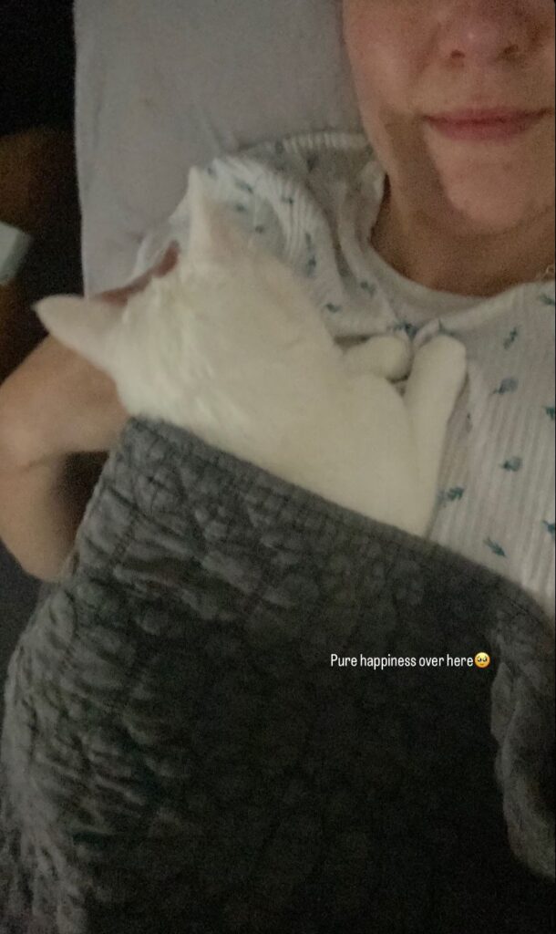 Chloe is Safe and Sound in Australia 🇦🇺❤️🐈