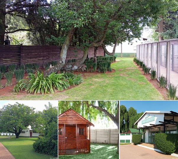 Did you know that we can look after your dogs and cats while you go ahead to Australia?