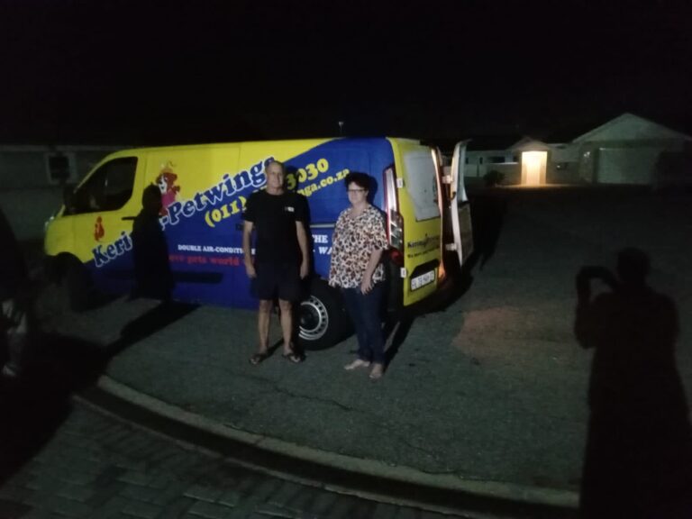 Petwheels: Jeffrey's Bay and Back Home in One Day🚐🐈🐇🐕🦜