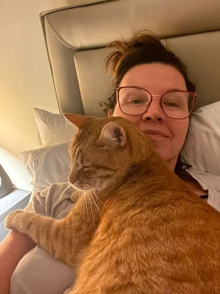 Kim, Kai, and Lady Grey are Safe and Sound in London, UK 🐈❤️🇬🇧