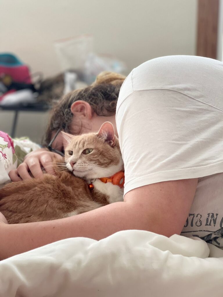 Kim, Kai, and Lady Grey are Safe and Sound in London, UK 🐈❤️🇬🇧