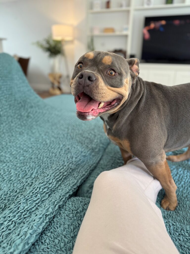 Olive and Benjamin Have Arrived Safely in The UK