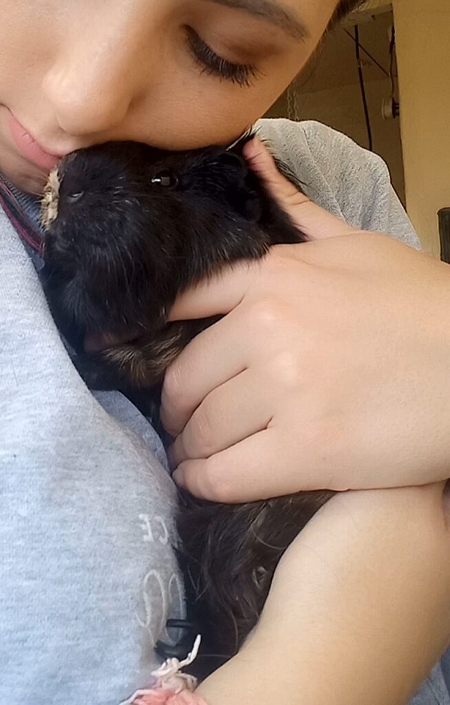 Guinea Pig Pet Transport Testimonial: The 3 Guineas Have Joined Their Family in the UK ❤️🇬🇧