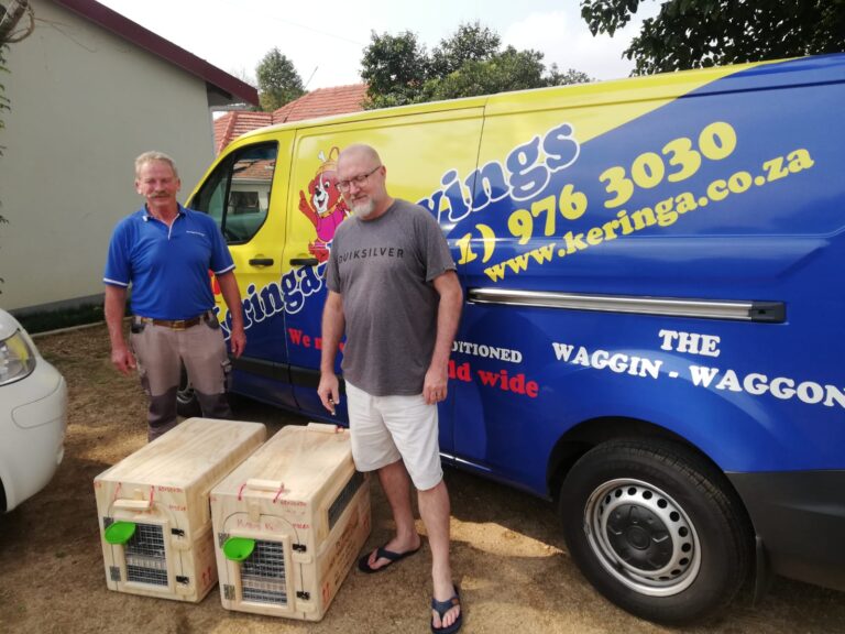 To Hillcrest in KwaZulu-Natal and Back to Keringa-Petwings in Johannesburg in One Day 🐕🐈🐇🦜🚐