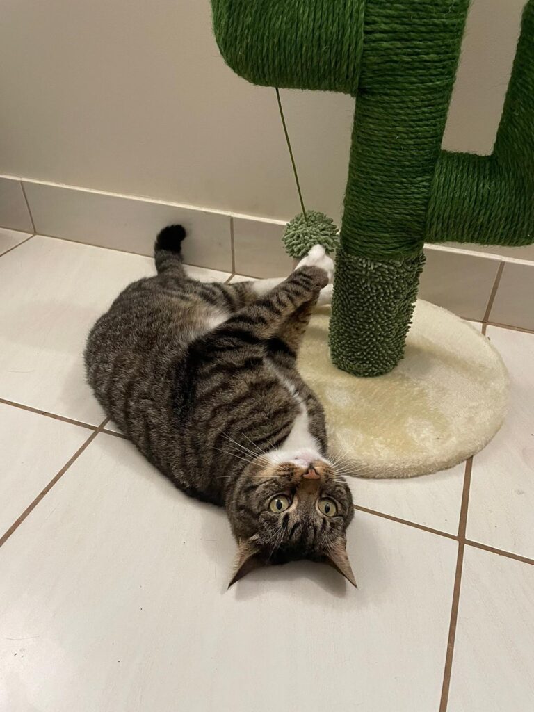 Anabelle is Loving Australia