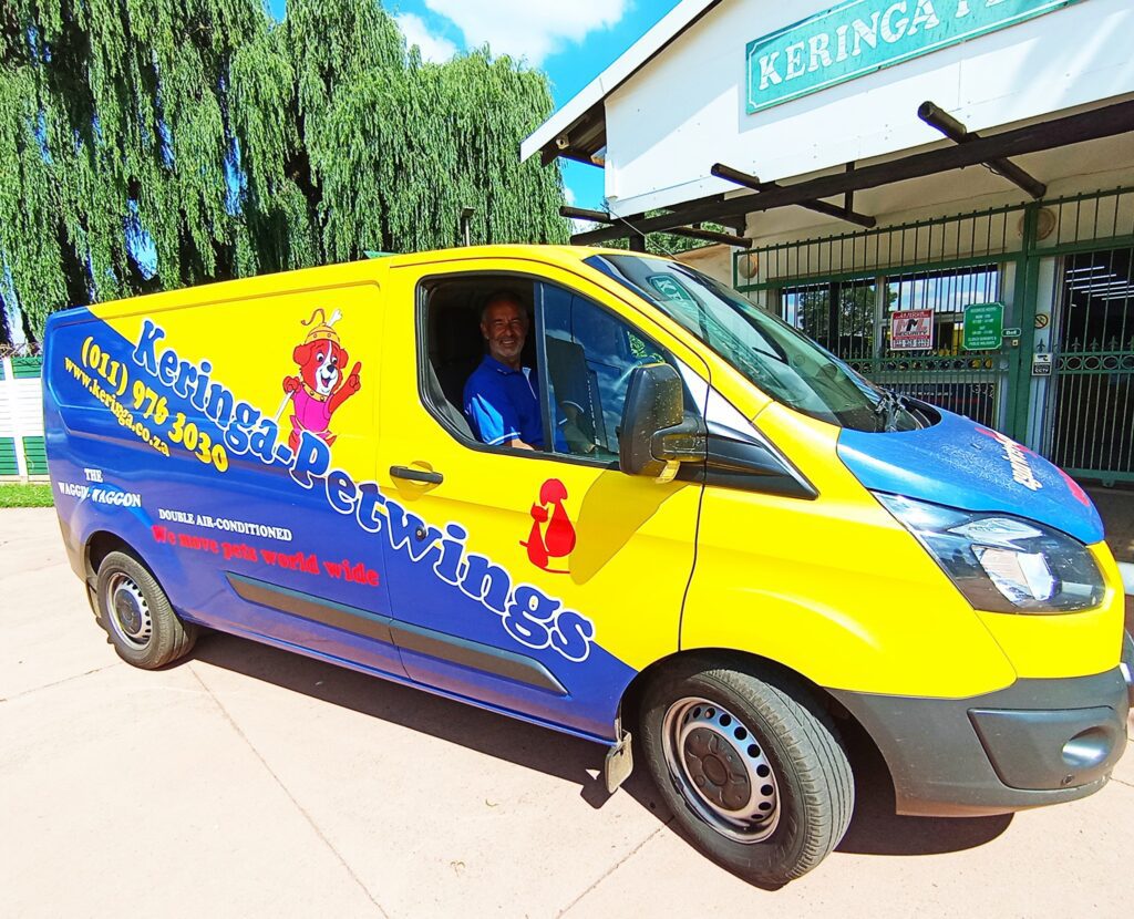 Petwheels: Sasolburg to Edenvale - Dachsie Babies, Roxi and Lexi, Are Safe and Sound ❤️🐶🐶🚐