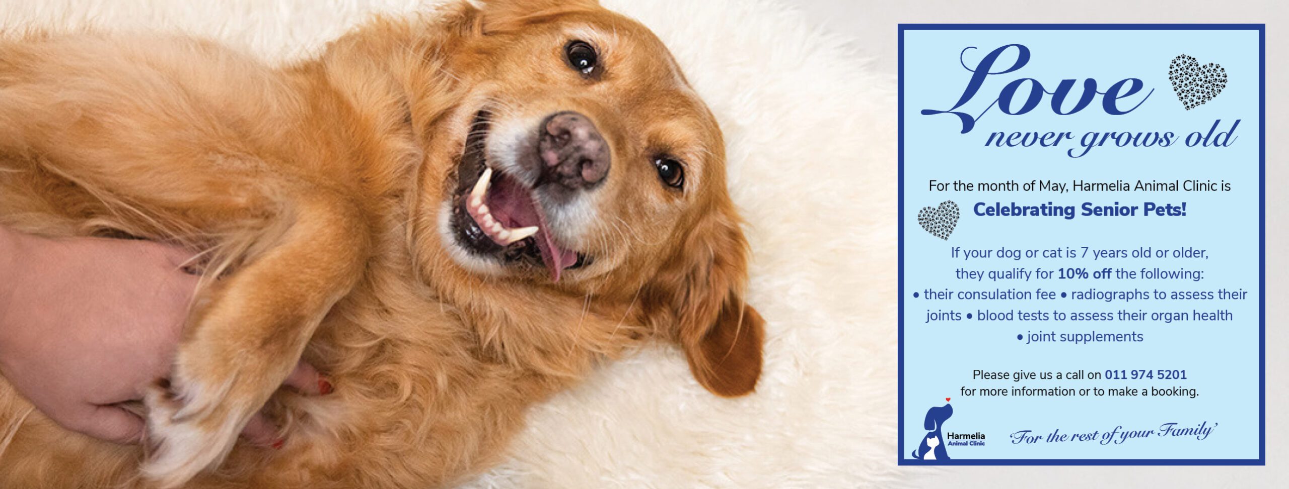 We Love Your Focus on Senior "Petizens" Harmelia Animal Clinic ❤