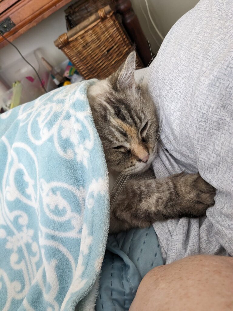 Imported From South Korea to South Africa – Madison Has Joined Her Family