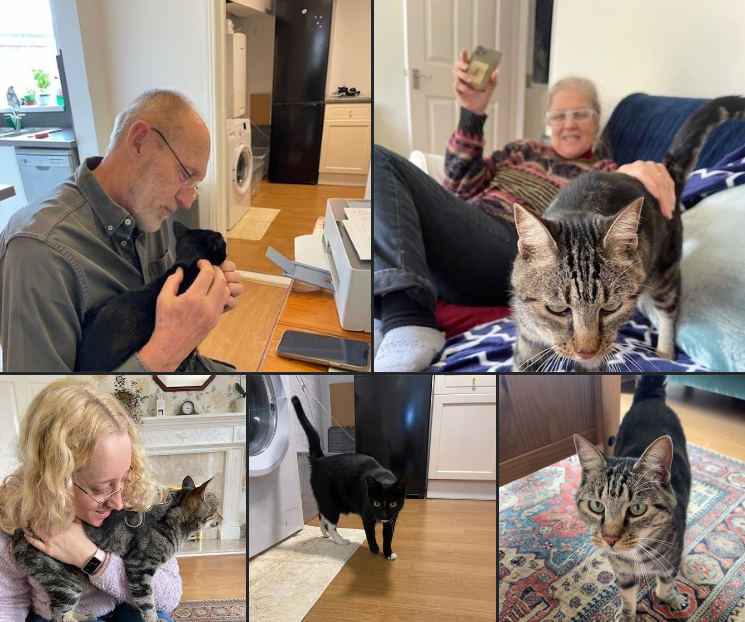 Ollie And Kai Have Joined Their Family in The United Kingdom