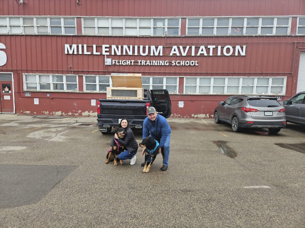 Tinkerbell and Britney are Safe and Sound in Canada 🇨🇦❤️🐕‍🦺