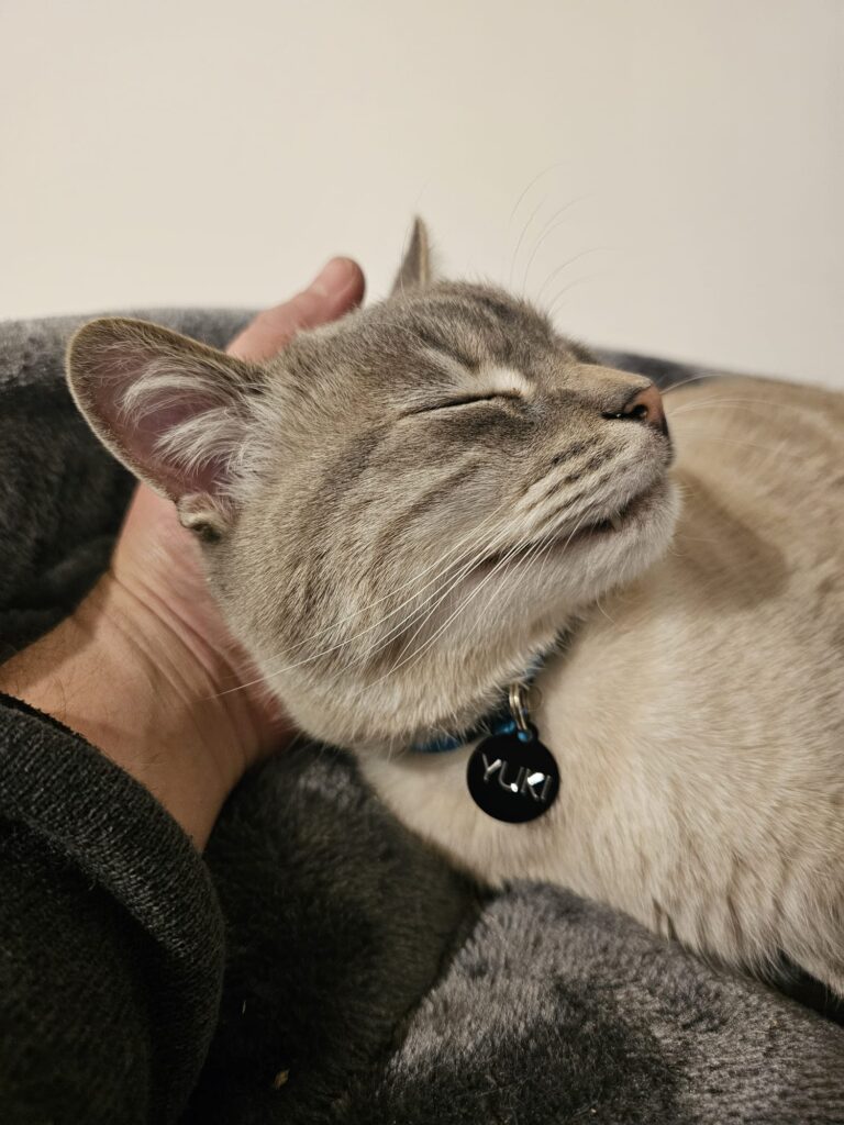 Yuki and Zulik Have Joined Their Family in New Zealand