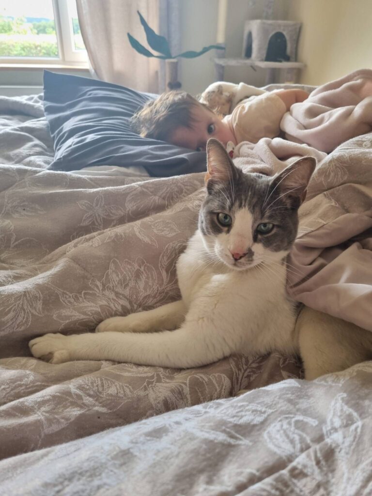 Loki And Gerrie Have Joined Their Family in Ireland 🐈🇮🇪❤️