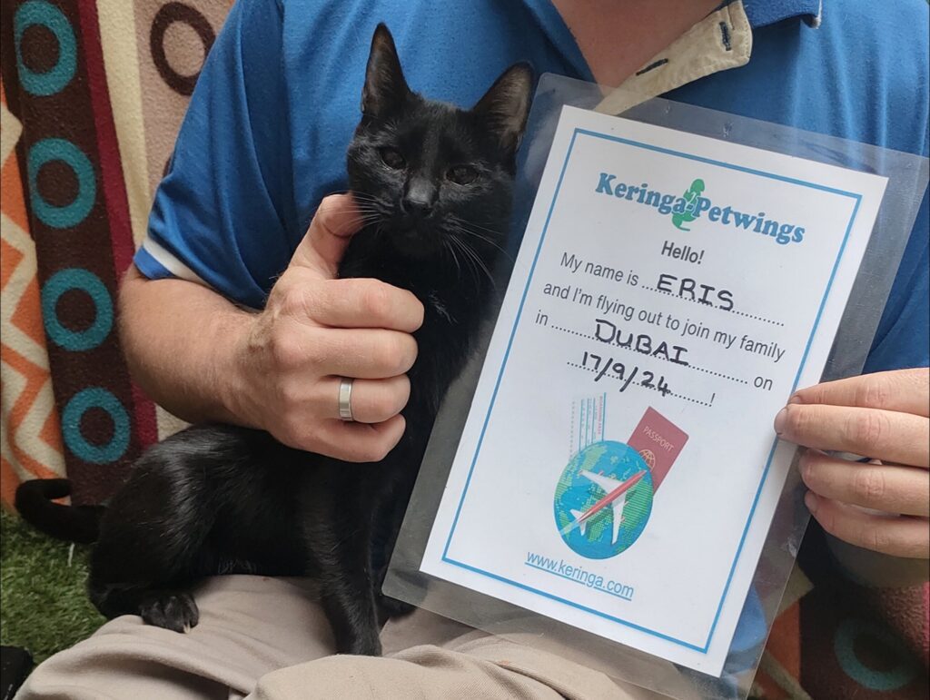 Safe Travels to Dubai, Zybrin, Salem, Eris, Nyx, and Odin Keringa-Petwings Pet Transport Testimonials Eris Pic