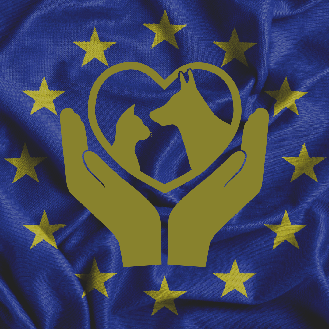Pet Transport to Europe Flag background